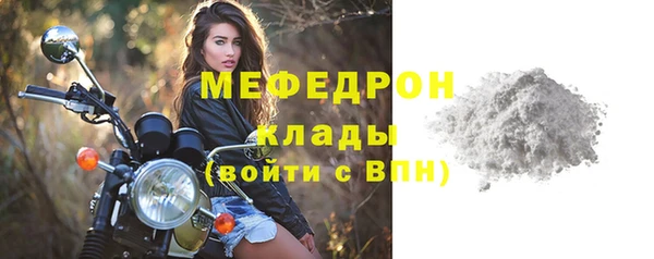 индика Елабуга