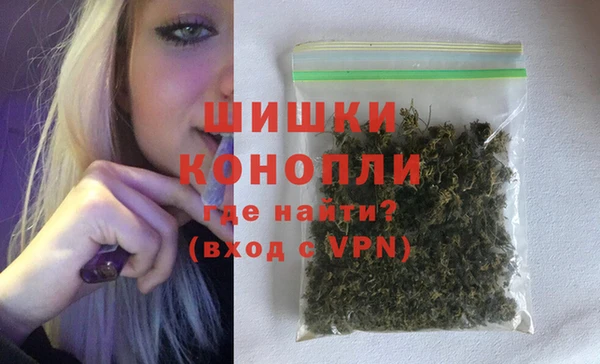 ALPHA PVP Ельня