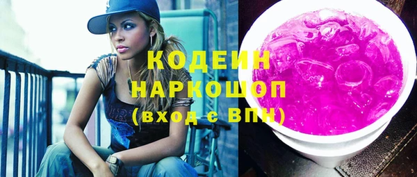 индика Елабуга