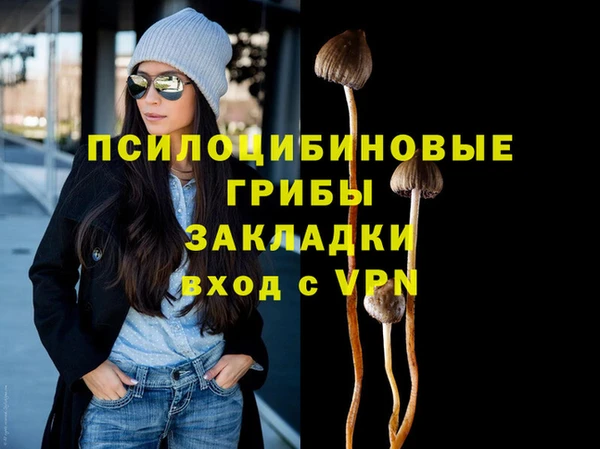 a pvp Дмитриев