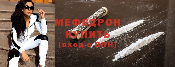 индика Елабуга