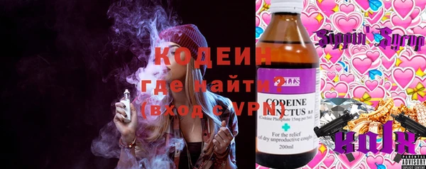 индика Елабуга