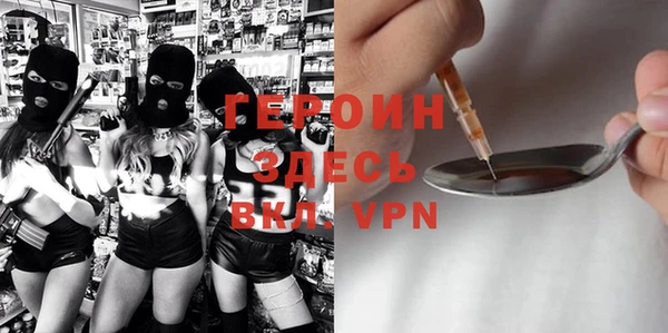 индика Елабуга