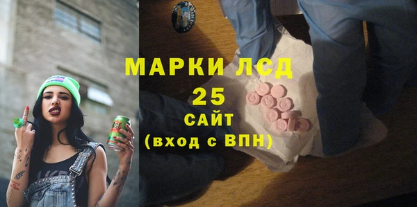 индика Елабуга
