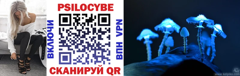 купить наркотик  нарко площадка формула  Псилоцибиновые грибы MAGIC MUSHROOMS  Закаменск 